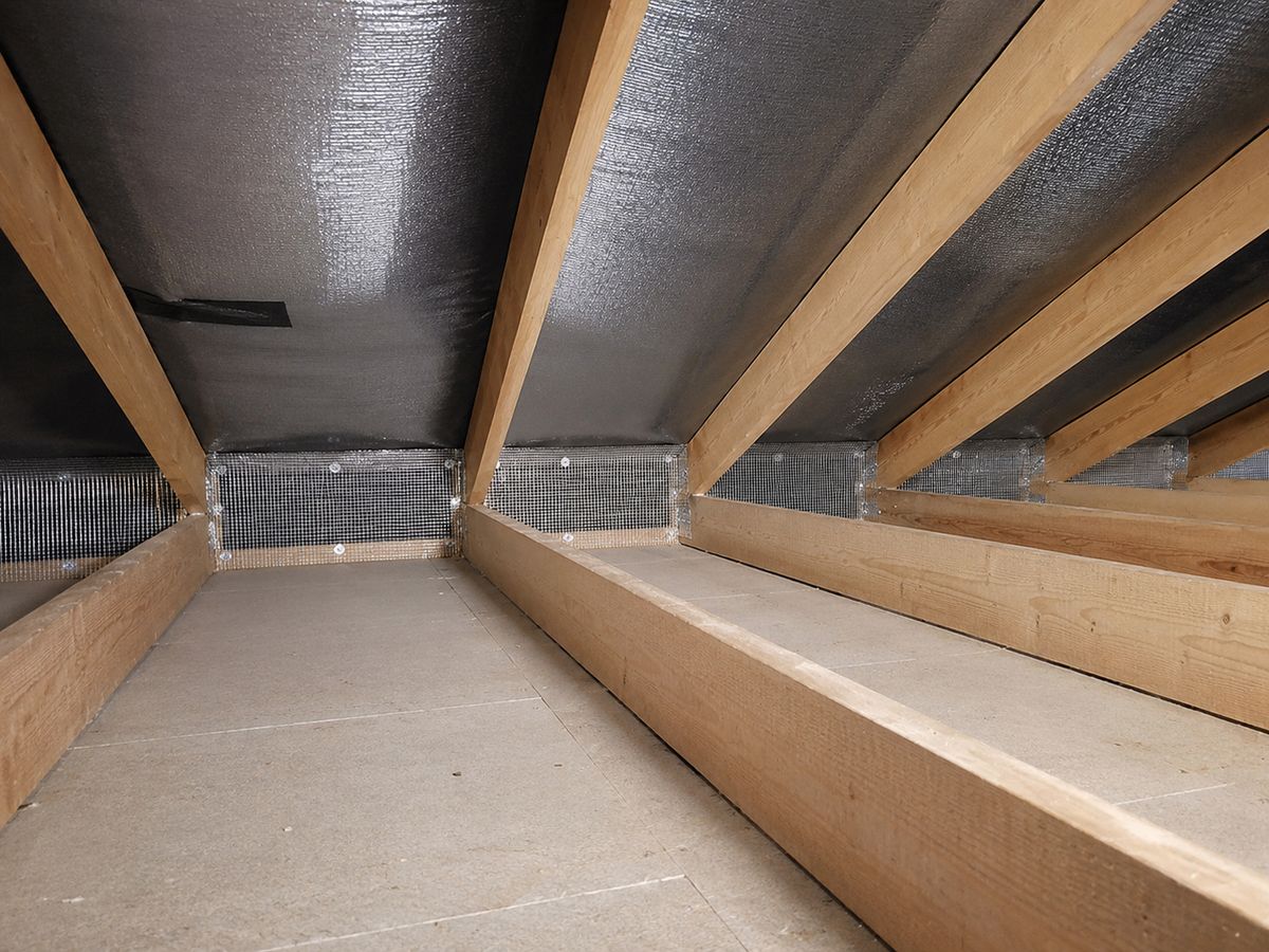 Rodent Proofing work in Brighton